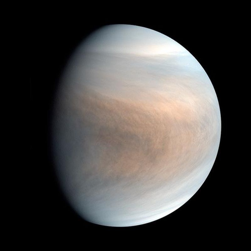 venus