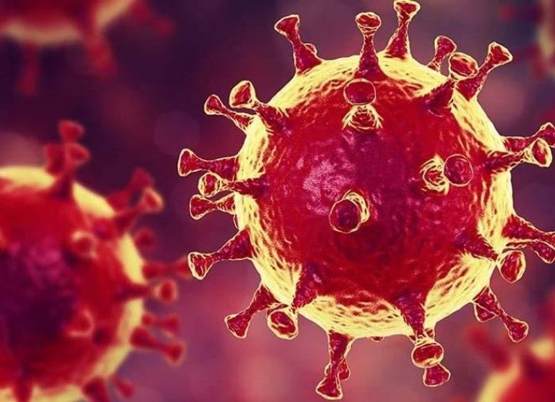 1585106933_muncul_virus_baru_di_china_membunuh_lebih_cepat