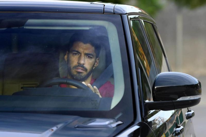 Luis Suarez (standard co uk)