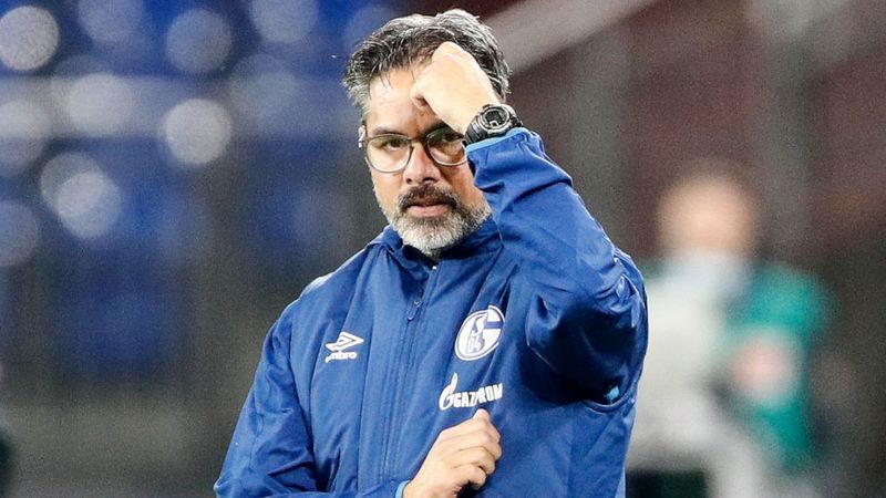 david wagner (abcnews go com)