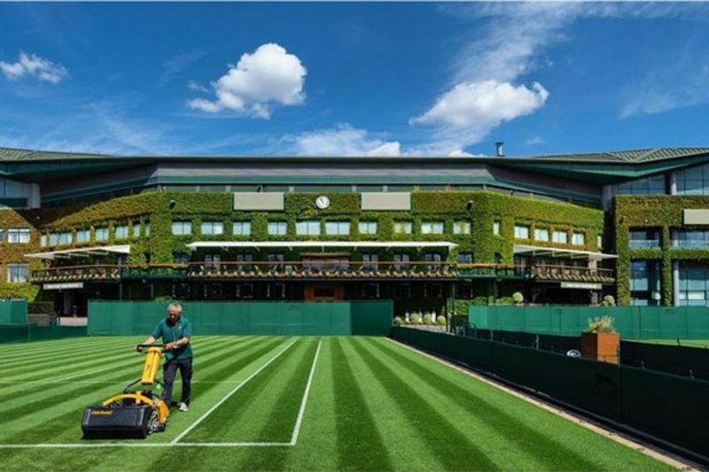 wimbledon (news nestia)