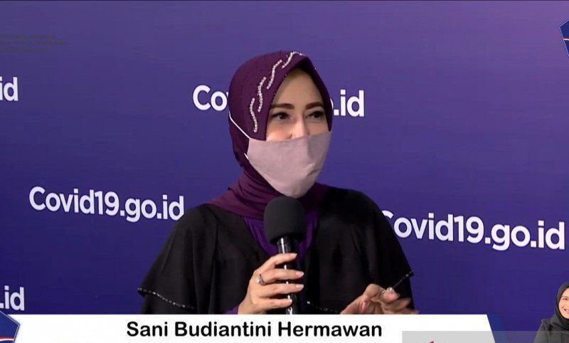sani
