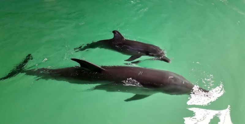 IMG_20201119_095748