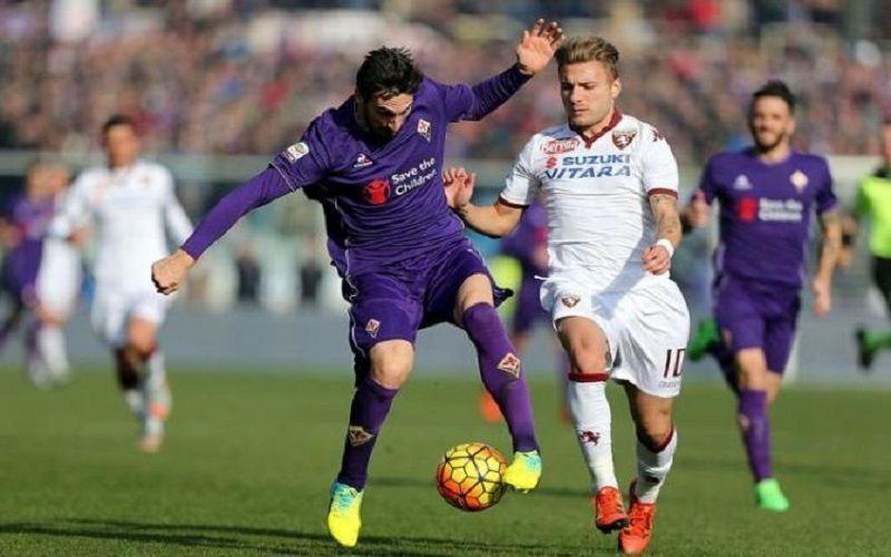 fiorentina vs genoa (keo tot net)