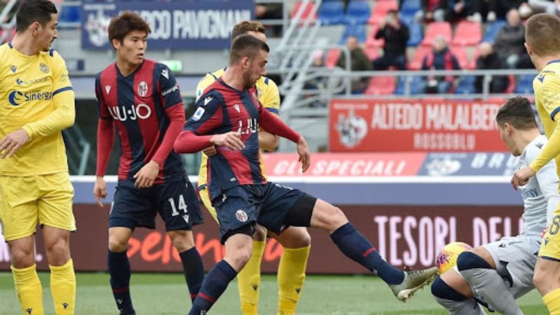 bologna vs verona (sportingpedia)