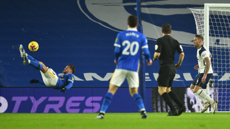 brighton vs tottenham (en24news)