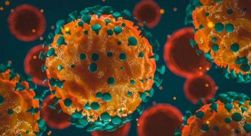 29551-virus-corona-covid-19
