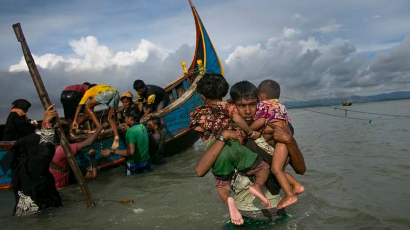 rohingya