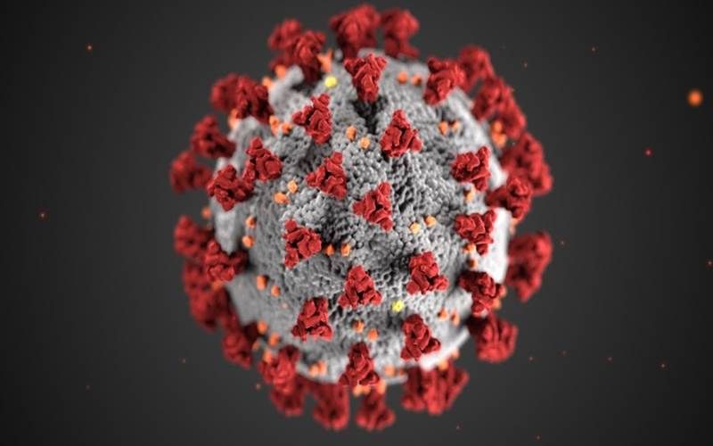 virus-corona-penampakan