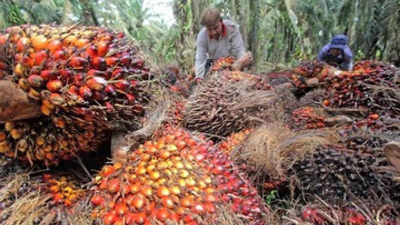 971177c6-8c82-4558-8a2f-14f2d6789e6c_169