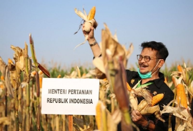 Menteri-Pertanian-SYL