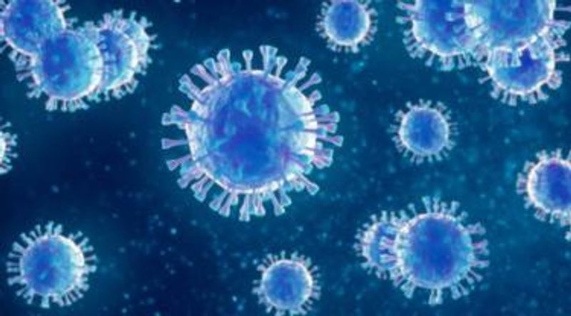 079981800_1578540401-virus