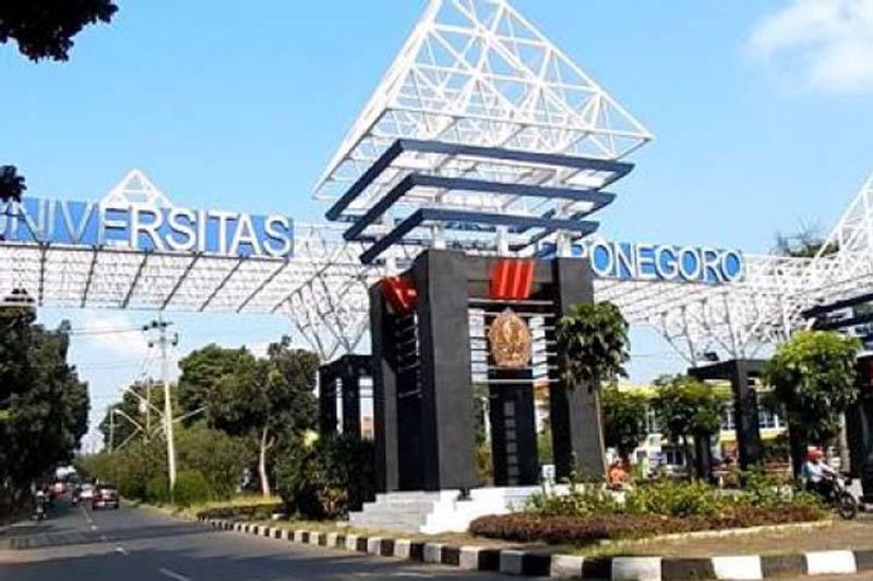 undip