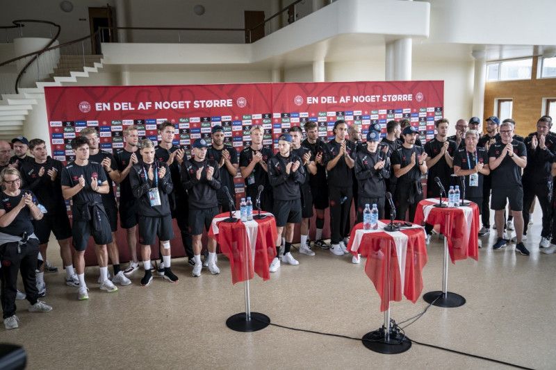 timnas denmark