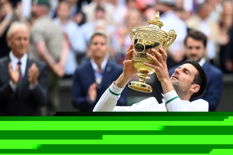 Novak Djokovic juara