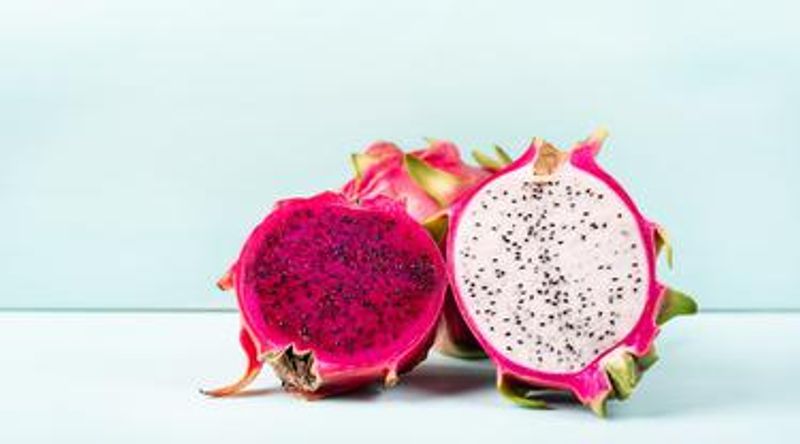 038751900_1562584618-iStock-1010987598