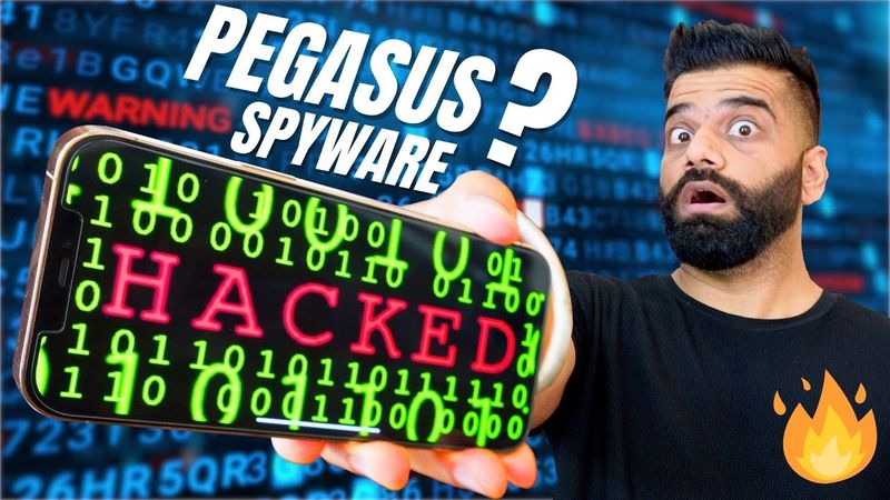 pegasus