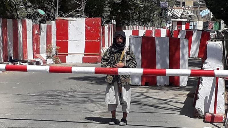 taliban di ghazni