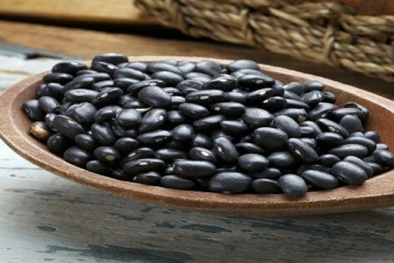 kacang hitam