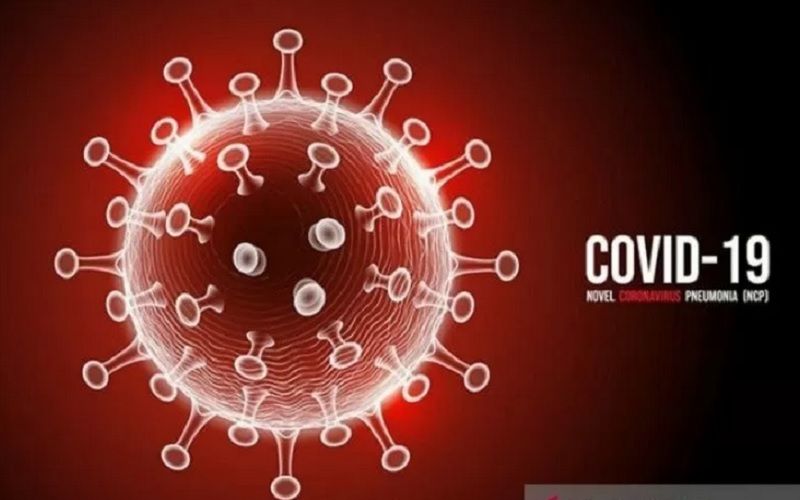 virus corona2