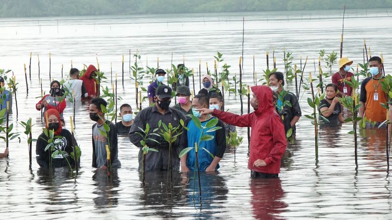 Turun ke Laut, Presiden Joko Widodo Tanam Mangrove Bersama Masyarakat di Batam