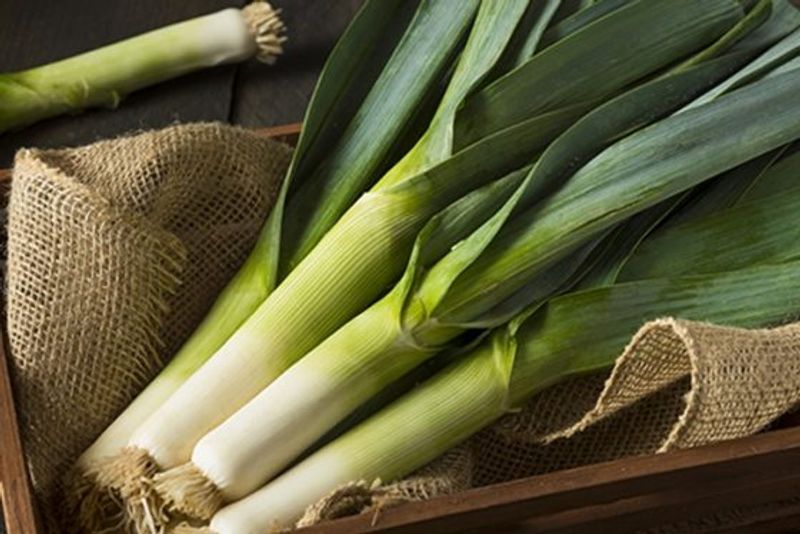 daun-bawang-2-560x374