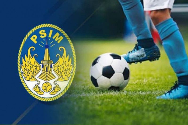 PSIM2_1 (1)