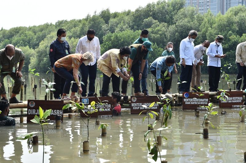 Peta Mangrove Nasional Tahun 2021 Baseline Pengelolaan Rehabilitasi Mangrove Nas