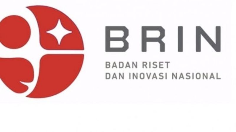 logo brin