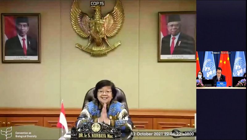 Komitmen Dunia Menuju “Living In Harmony With Nature” dan Membangun Komitmen unt