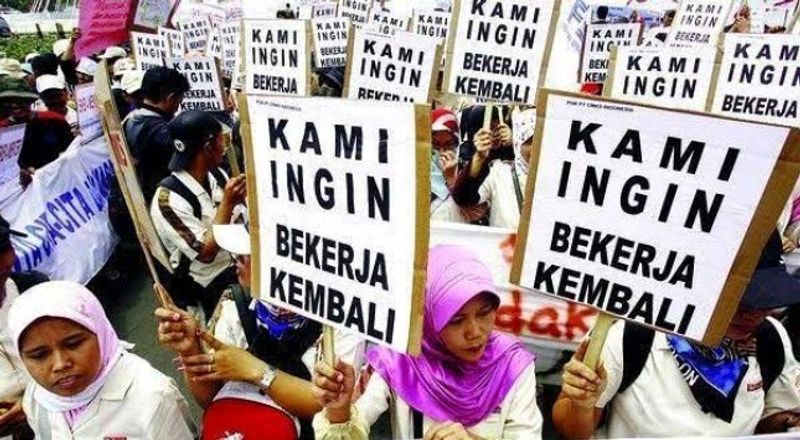 pencari kerja