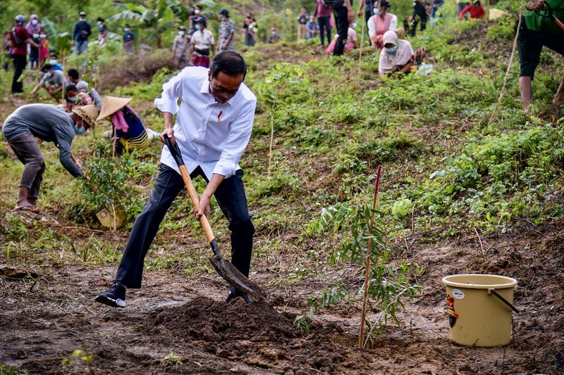 Hijaukan Mandalika untuk Pulihkan Lingkungan dan Peningkatan Ekonomi Masyarakat