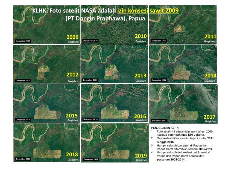 KLHK Foto Satelit NASA adalah Izin Sawit 2009