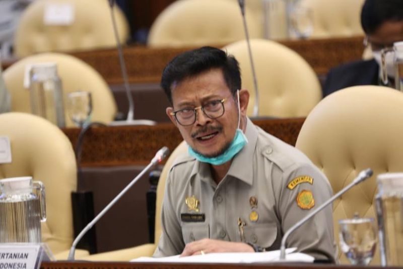 mentan yasin limpo