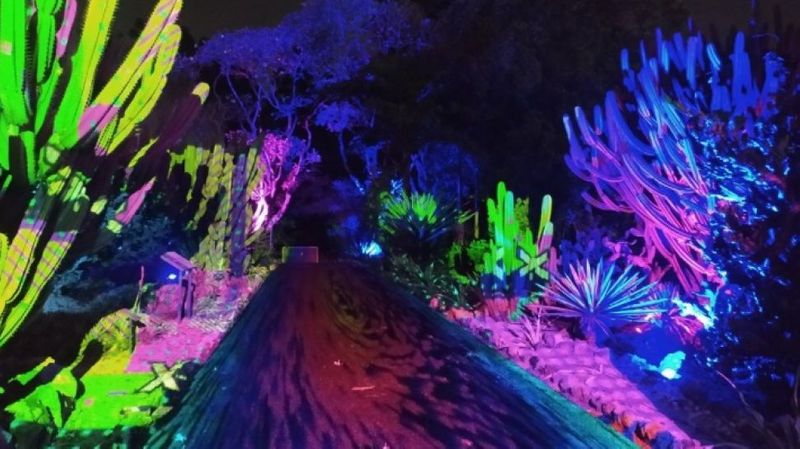 wisata glow kebun raya bogor
