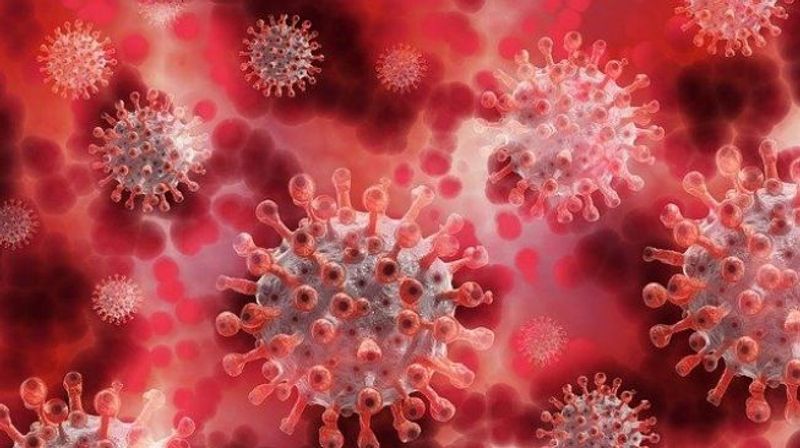 27459-ilustrasi-virus-corona-pixabay
