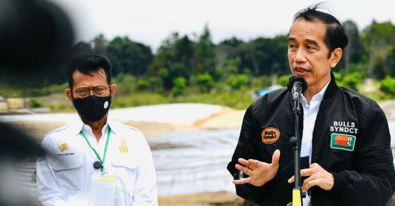 201027040308-presiden-jokowi-didampingi-mentan-syahrul-tinjau-food-estate-di-hum