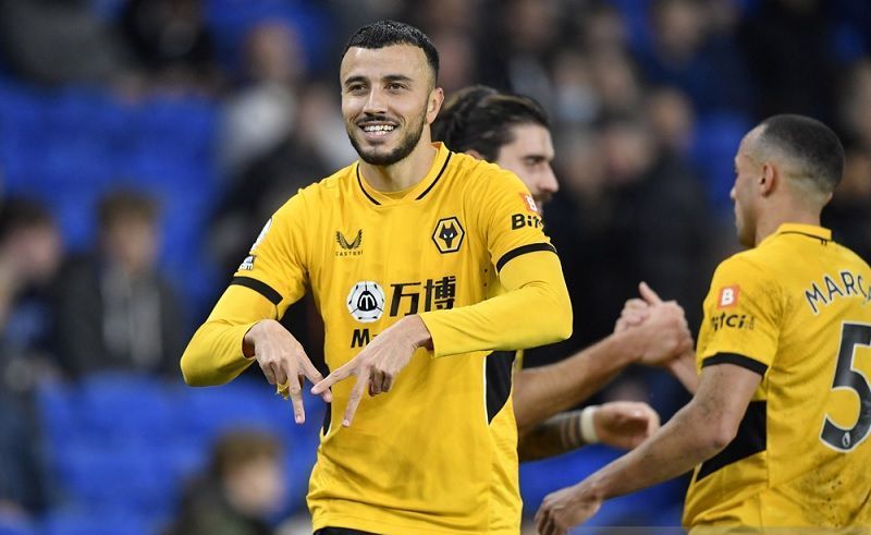 wolverhampton-brighton