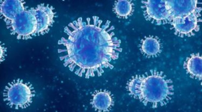 079981800_1578540401-virus