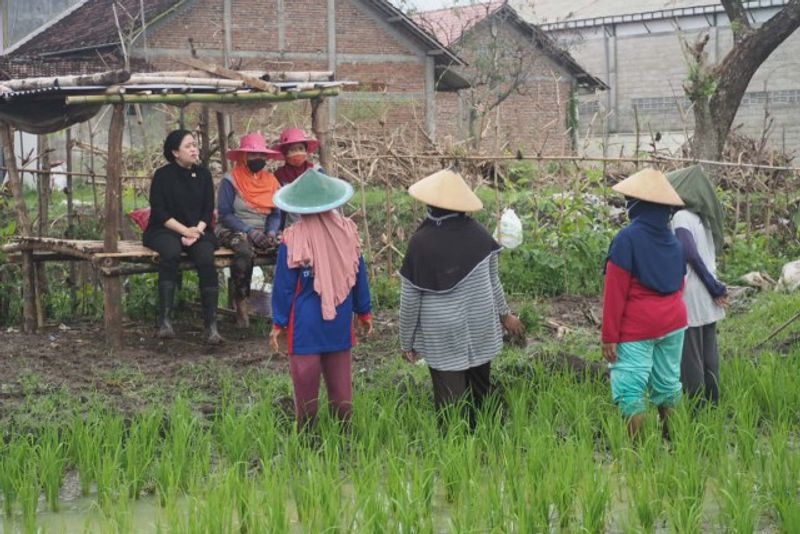 WhatsApp Image 2021-12-27 at 18 02 43