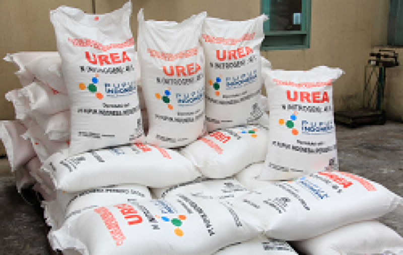 Pupuk Urea Subsidi_thumbnail