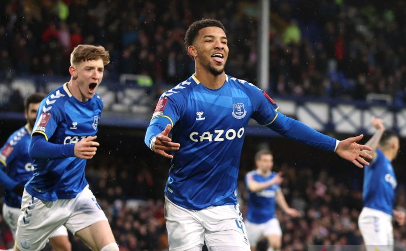 everton vs brentford