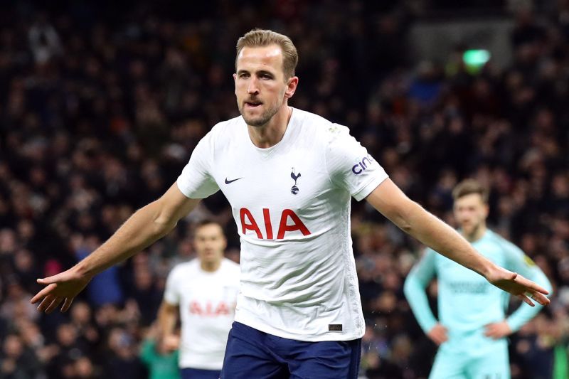 kane - brighton