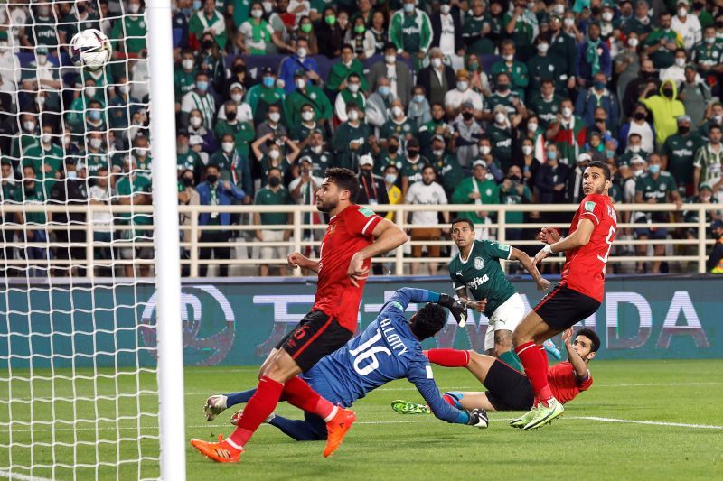 palmeiras