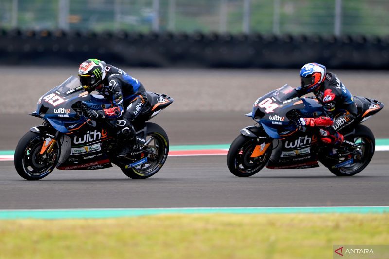 Dovi