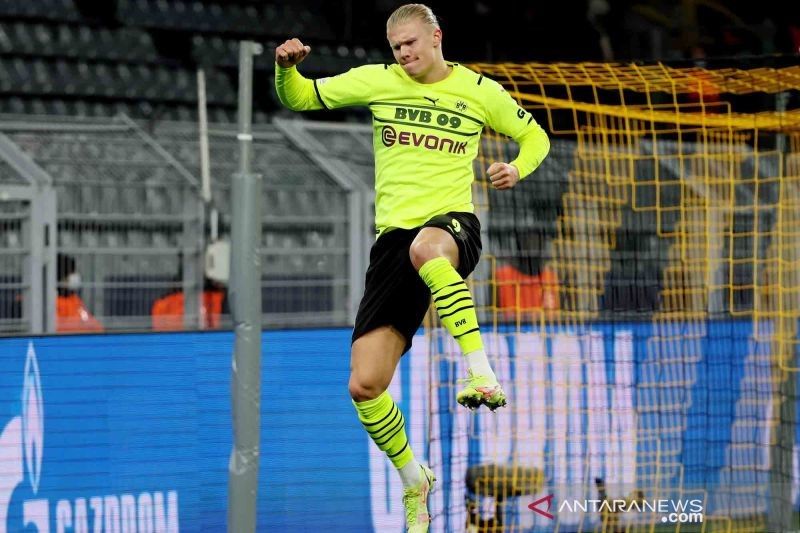 erling haaland