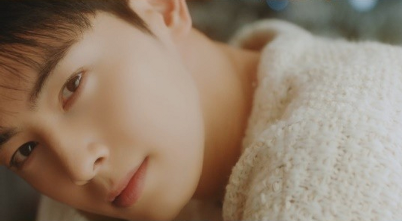 Cha Eunwoo Positif COVID-19