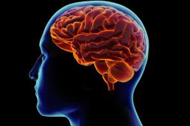 1125391shutterstock-139803676p