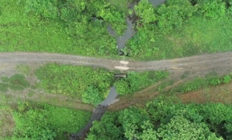 tingkatkan-konektivitas-trans-papua-kementerian-pupr-bangun-29-jembatan-di-ruas-