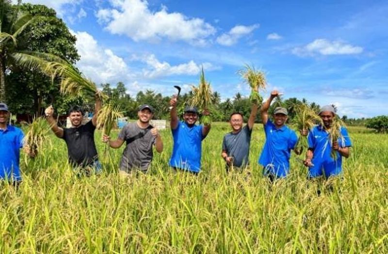 didukung-pt-vale-milenial-pomalaa-kini-melek-pertanian-organik-isj
